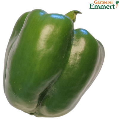 Produktfoto zu Paprika grün Emmert