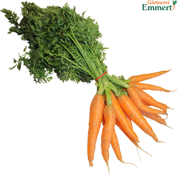 Produktfoto zu Bundmöhren