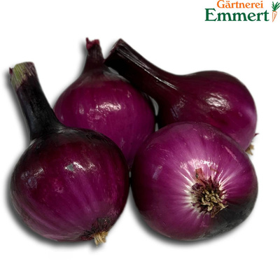 Produktfoto zu Zwiebeln rot, frisch