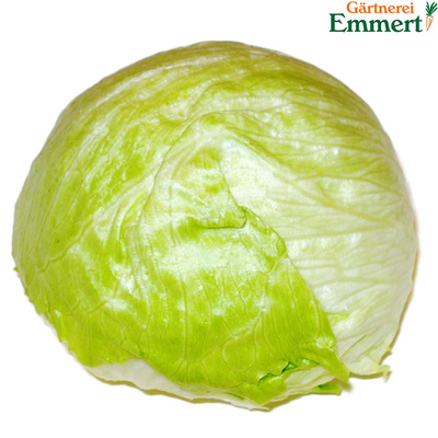 Produktfoto zu Eissalat