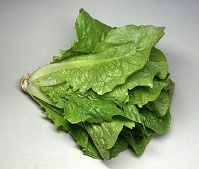 Produktfoto zu Römersalat