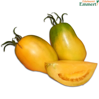 Produktfoto zu Tomate, 'Orange Banana'