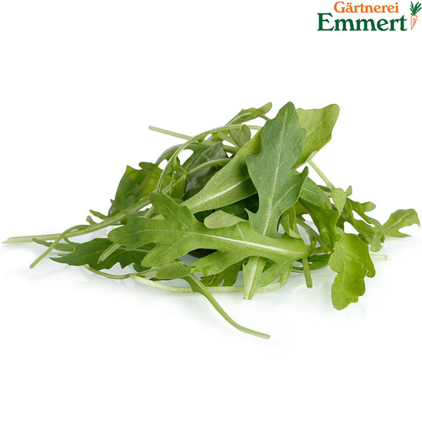 Produktfoto zu Rucola