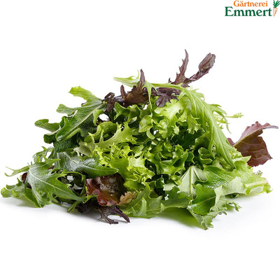 Produktfoto zu Schnittsalat