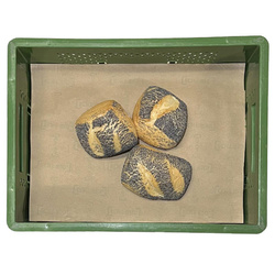 Produktfoto zu Brötchen 3 Bohlsen(b3b)