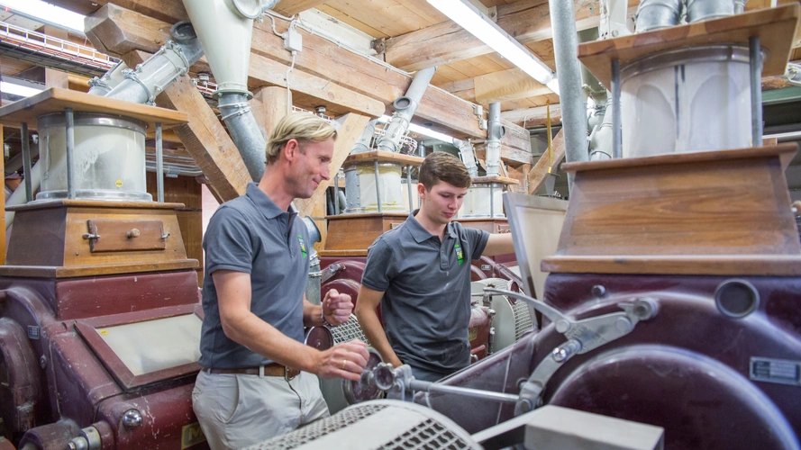 Die Müller stellen die Walzenstühle ein