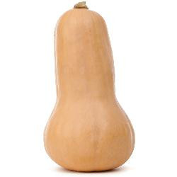 Produktfoto zu Kürbis Butternut