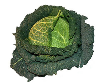 Produktfoto zu Wirsingkohl