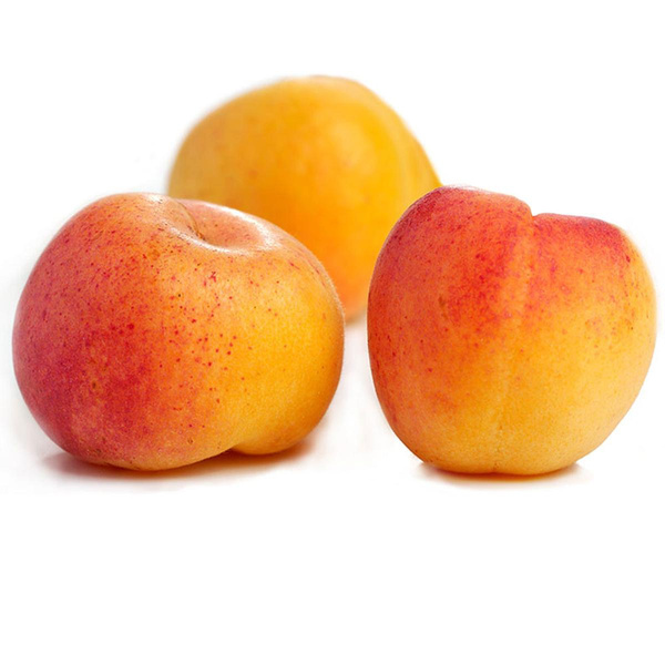 Produktfoto zu Aprikosen