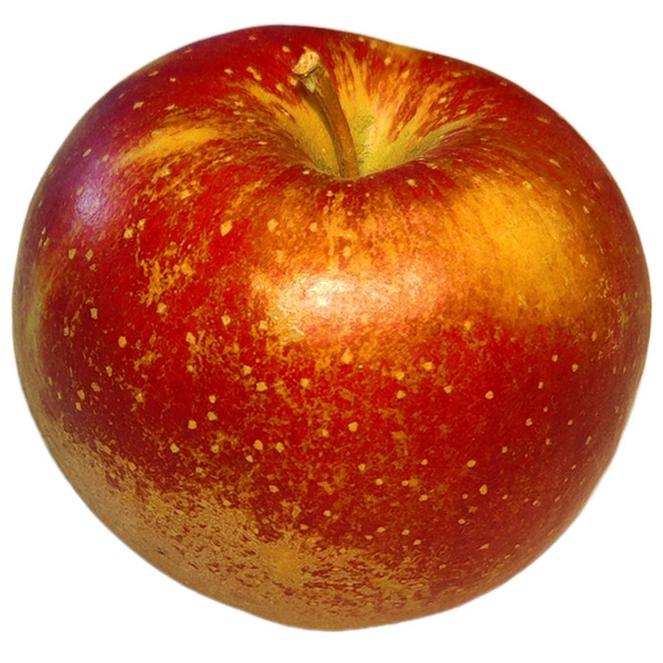 Produktfoto zu Apfel Wellant