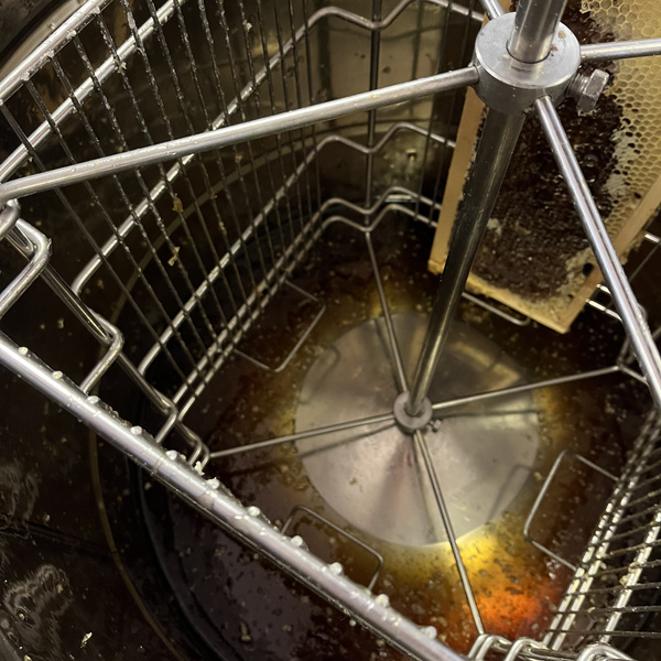 Honigschleuder von innen mit einem Honigrähmchen und Honig am Schleuderboden