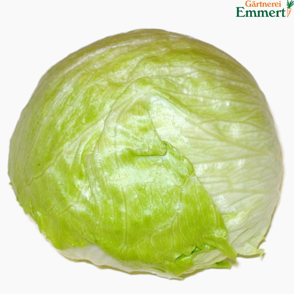 Produktfoto zu Eissalat