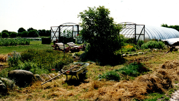 Gewächshäuser und Kräuterbeet in unserem Biogarten