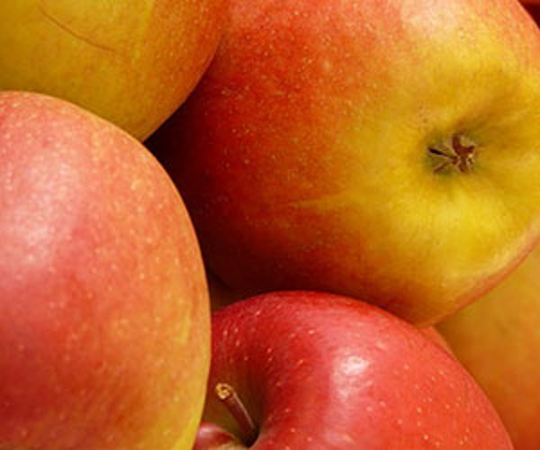 Produktfoto zu Apfel Braeburn