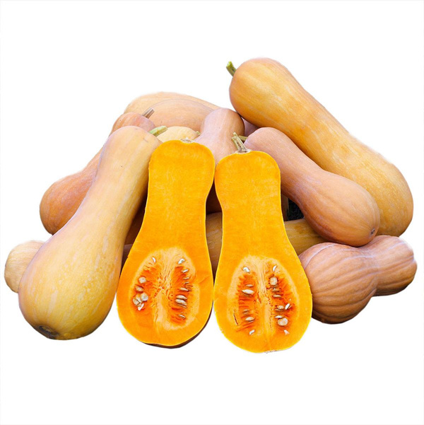 Produktfoto zu Kürbis Butternut