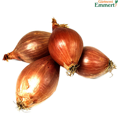 Produktfoto zu Schalotten
