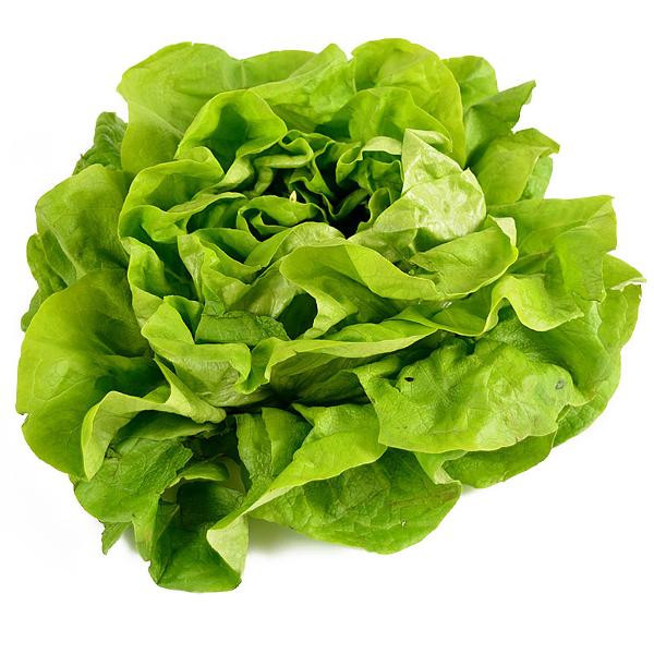 Produktfoto zu Kopfsalat