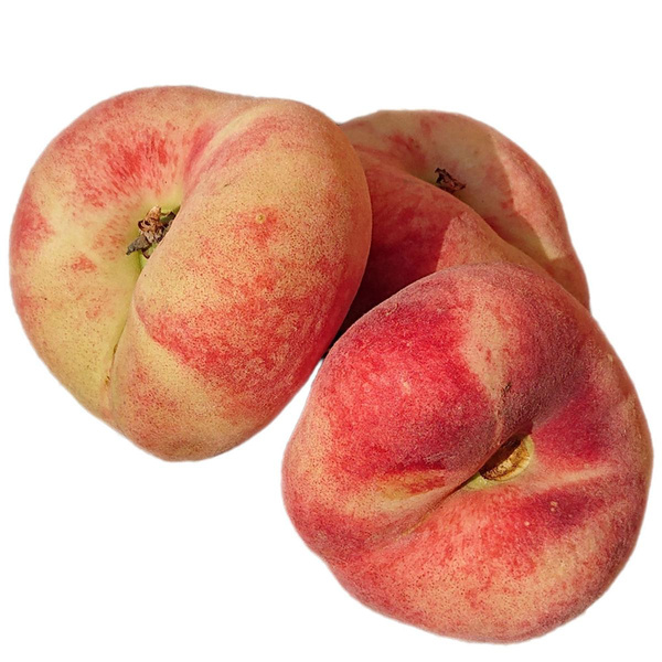 Produktfoto zu Pfirsich, weiß