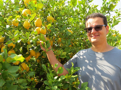 KI generiert: Ein Mann steht neben einem Zitronenbaum, der voller reifer Zitronen ist. Er lächelt und trägt Sonnenbrillen und ein graues T-Shirt.