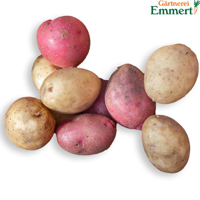 Produktfoto zu Kartoffeln Drillinge