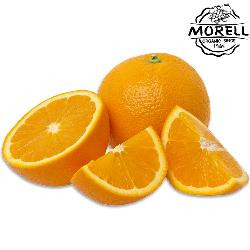 Produktfoto zu Orangen Morell