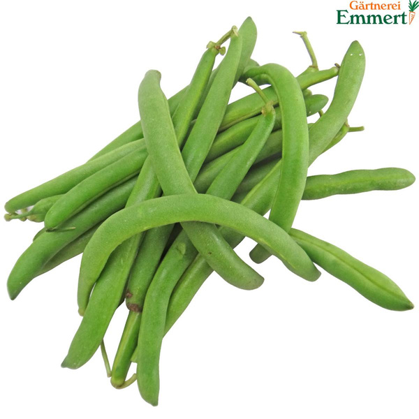 Produktfoto zu Buschbohnen