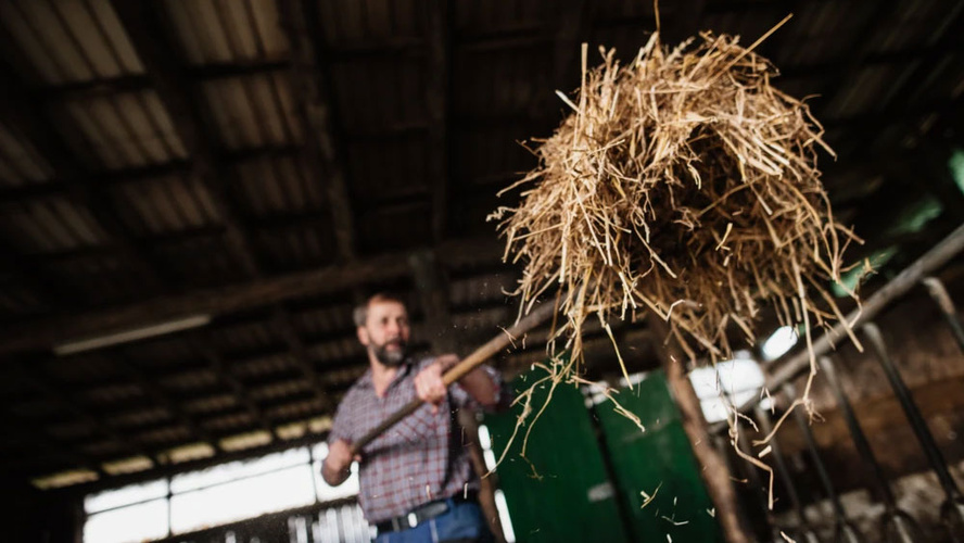 Erdmann Voss mit einer Forke voll Stroh