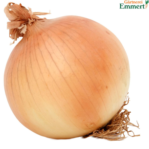 Produktfoto zu Gemüsezwiebeln