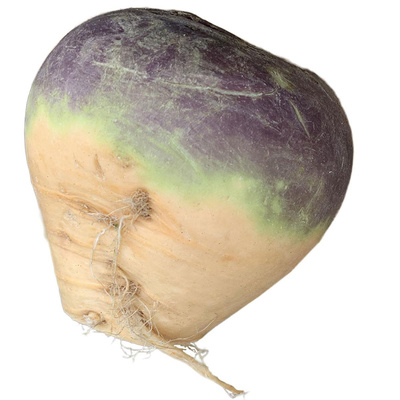 Produktfoto zu Steckrübe