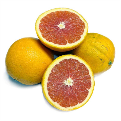 Produktfoto zu Orange "cara cara"