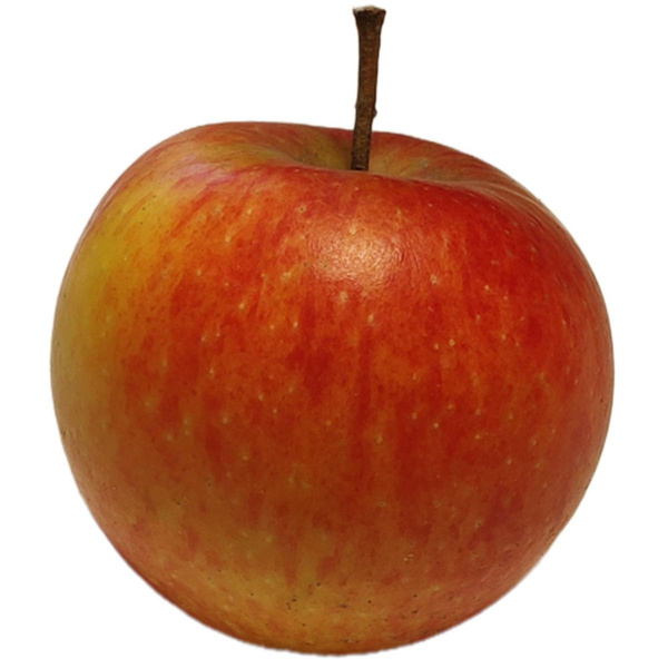 Produktfoto zu Apfel Natyra