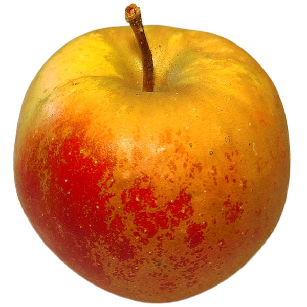 Produktfoto zu Apfel Elstar