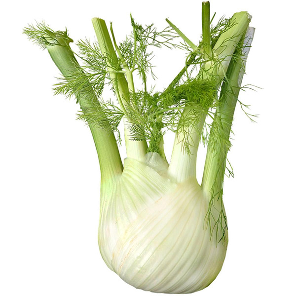 Produktfoto zu Fenchel