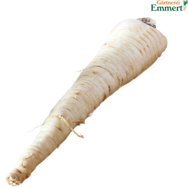 Produktfoto zu Petersilienwurzel