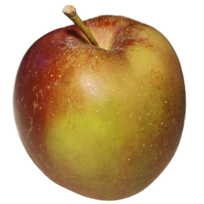 Produktfoto zu Apfel Boskoop