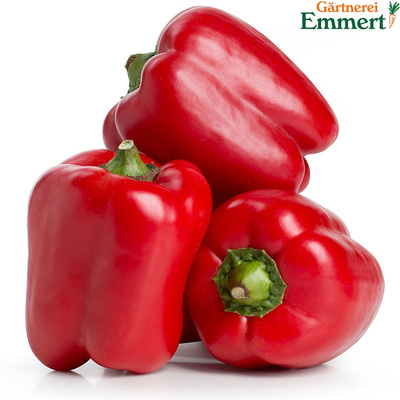 Produktfoto zu Paprika rot