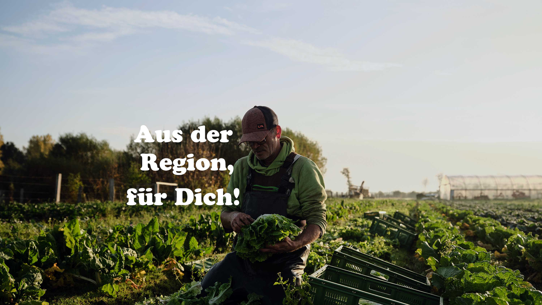 KI generiert: Ein Landwirt steht auf einem Feld und hält frischen Salat in den Händen. Der Text "Aus der Region, für Dich!" ist über das Bild gelegt.