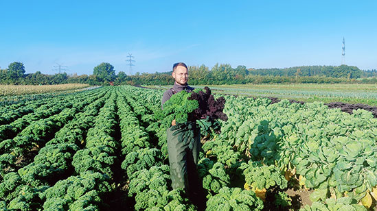 Hjalmar im Grünkohl