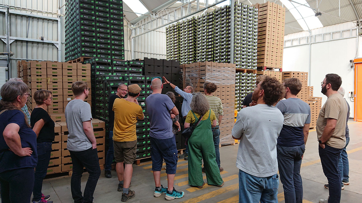 KI generiert: Das Bild zeigt eine Gruppe von Menschen in einem Lagerhaus, die auf einen Stapel von Obst- oder Gemüsekisten blicken. Eine Person in der Mitte scheint etwas zu erklären oder zu präsentieren.