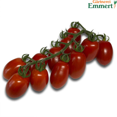 Produktfoto zu Cherrytomate "Monterey"