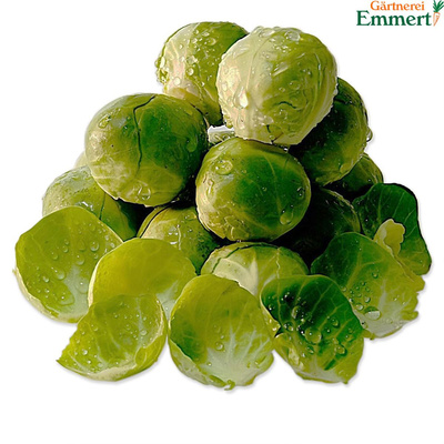 Produktfoto zu Rosenkohl