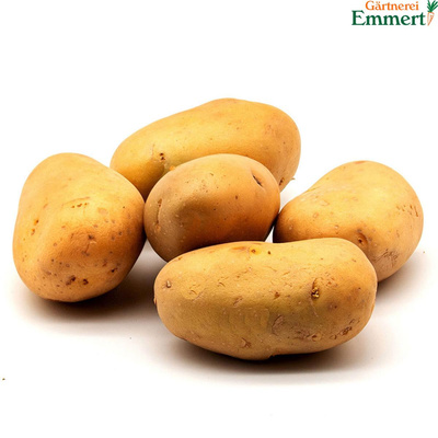 Produktfoto zu Kartoffeln "Karelia", mehlig, 1 Kg