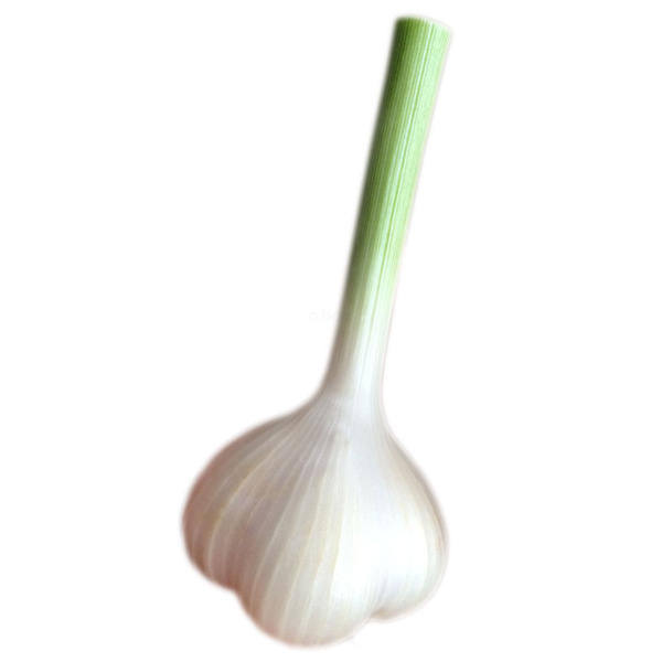 Produktfoto zu Frischer Knoblauch
