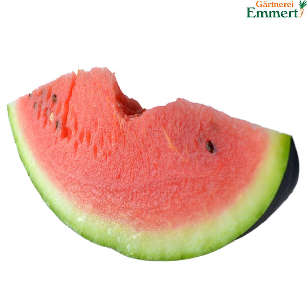 Produktfoto zu Wassermelone