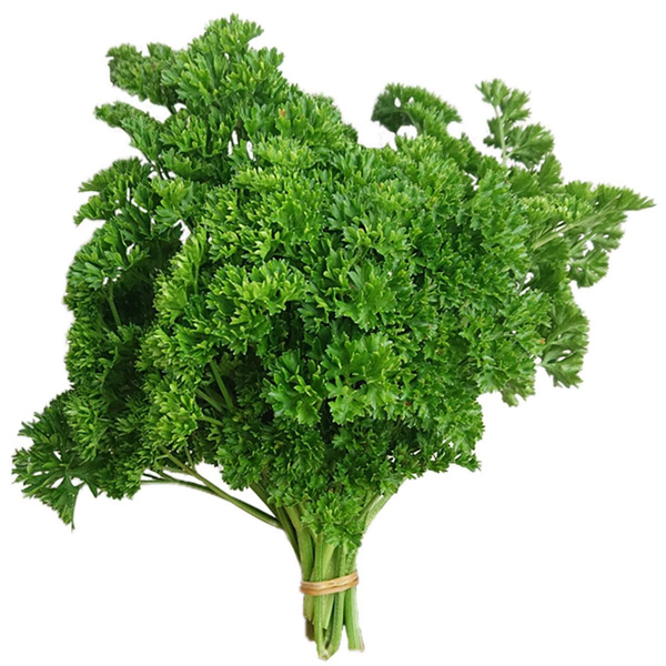 Produktfoto zu Petersilie kraus