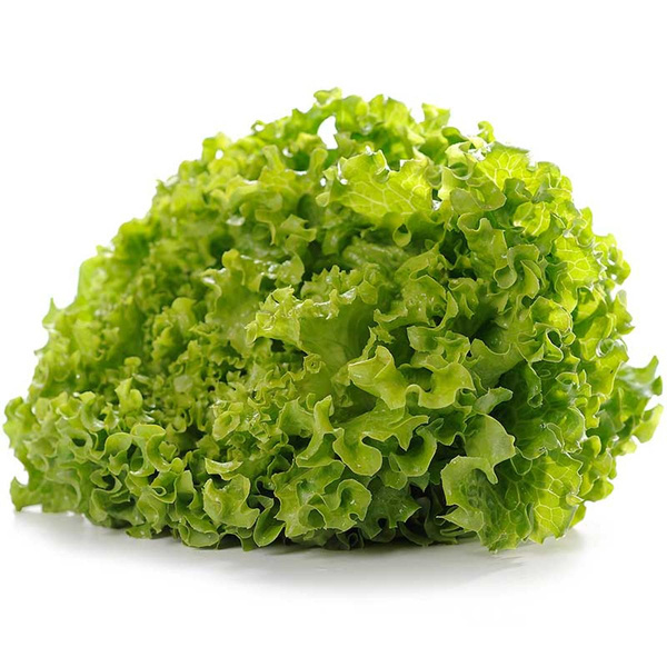 Produktfoto zu Bataviasalat grün