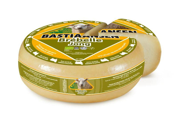 Produktfoto zu Schafkäse, Gouda