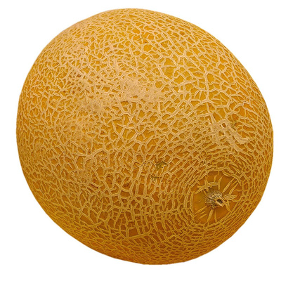 Produktfoto zu Galiamelonen