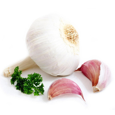 Produktfoto zu Knoblauch
