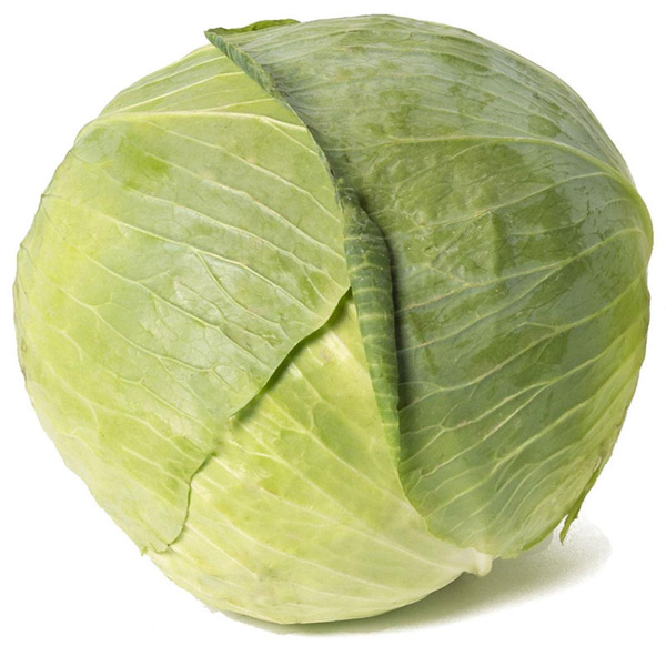 Produktfoto zu Weißkohl, neue Ernte